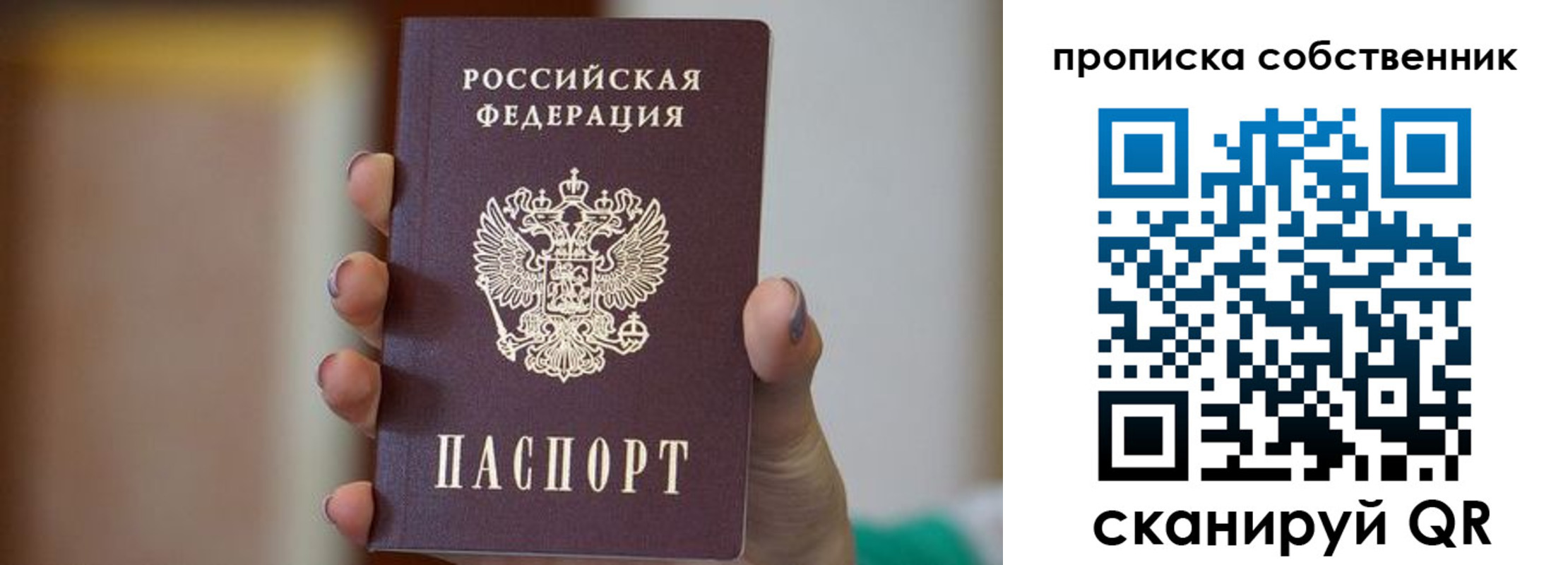 прописка поиск в Звенигороде